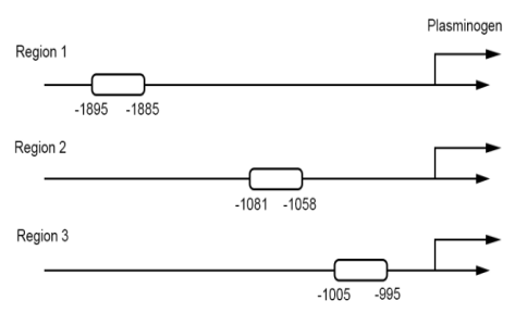 CHIP/CHIP-SEQ