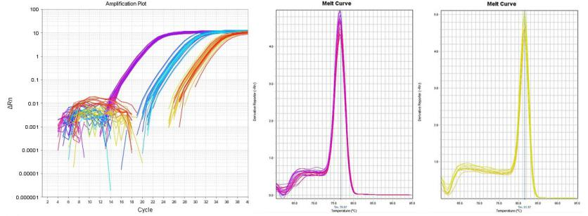 qPCR