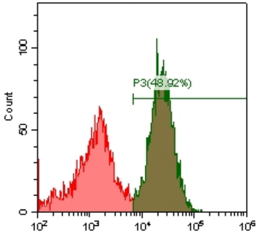 流式细胞增殖(图1)