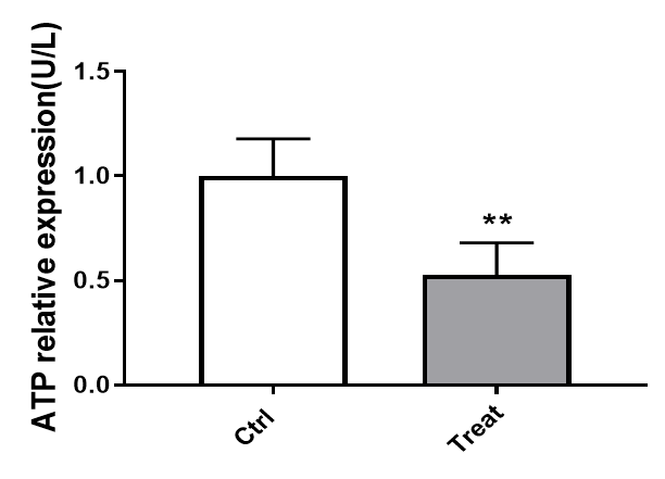 ATP/ADP检测(图1)