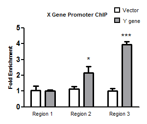 CHIP/CHIP-SEQ(图3)