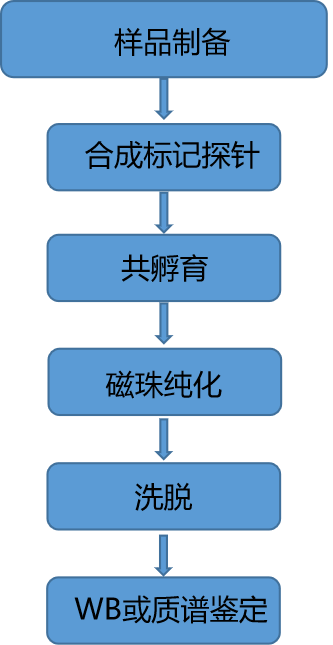 RNA Pulldown、DNA Pull-down(图1)