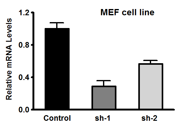 qPCR(图1)