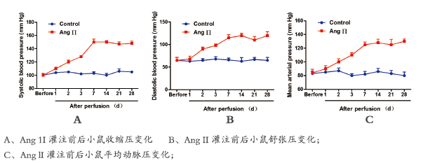  高血压模型实验研究(图1)